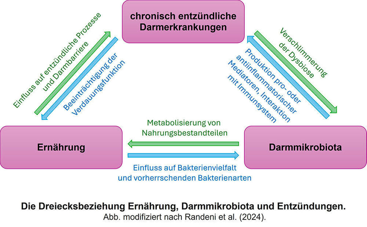 Die Dreiecksbeziehung Ernährung, Darmmikrobiota und Entzündungen 