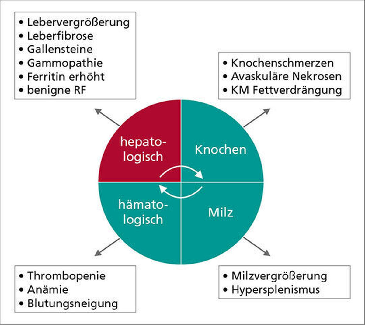 Abb.2: Diagnose M. Gaucher