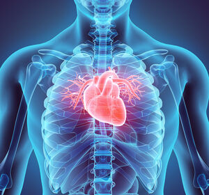 Zulassungserweiterung von Dapagliflozin für symptomatische chronische Herzinsuffizienz