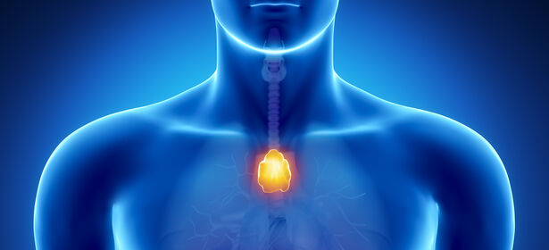 Thymom+und+Myasthenia+gravis+sowie+neue+Entwicklungen+in+der+Immuntherapie+fortgeschrittener+epithelialer+Thymustumoren+