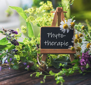 Evidenzbasierte Phytotherapie in der Hausarztpraxis