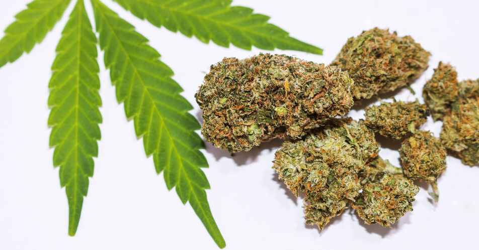 Lauterbach: Cannabis aus Tabuzone heraus