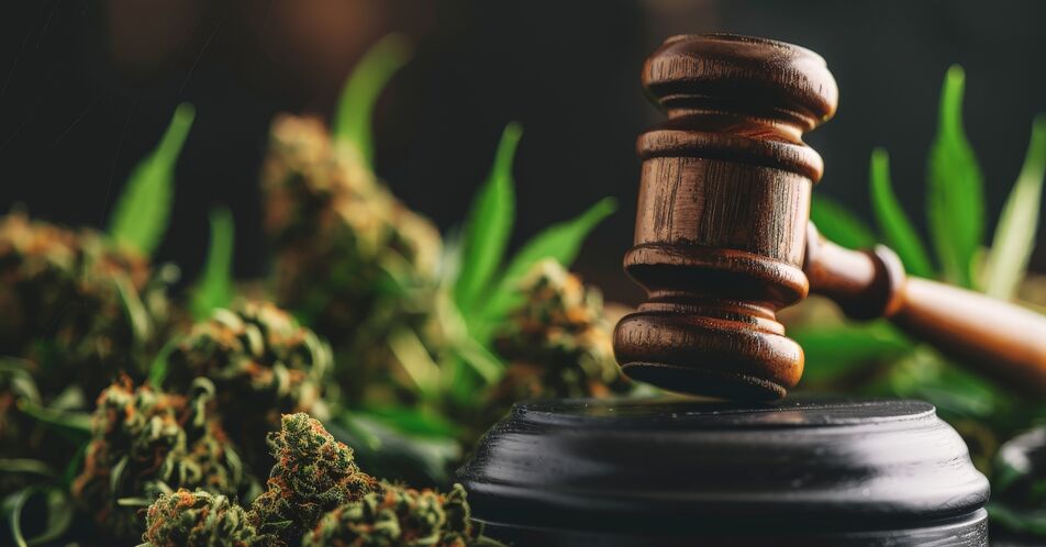 Nachbesserungen beim Cannabis-Gesetz: THC-Grenzwert im Straßenverkehr