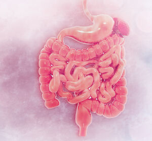 Guselkumab: Langanhaltende Wirksamkeit bei Morbus Crohn und Colitis ulcerosa
