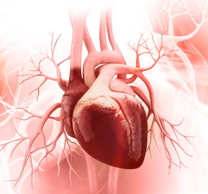 Adipositas: Semaglutid reduziert das kardiovaskuläre Risiko um 20%