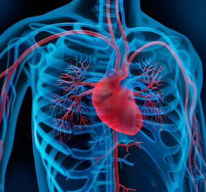 „Gesundes-Herz-Gesetz“ – Checks sollen Erkrankungen vorbeugen