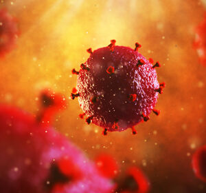 HIV: Abstammung entscheidet über die Infektionsfähigkeit