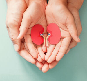 Vorschlag für mehr Organspenden zu Lebzeiten