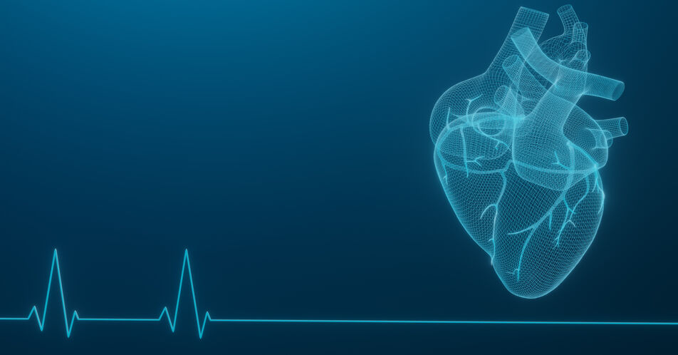 Sichere Behandlungsmethode bei Vorhofflimmern: Studie zur Pulsed Field Ablation mit vielversprechenden Ergebnissen