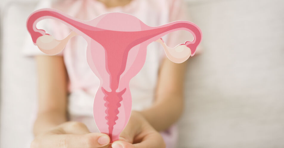 Neuer Verbund „HoPE“ forscht ganzheitlich an Endometriose