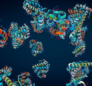 Chemie-Nobelpreis 2024: Pharmaunternehmen nutzen Vorhersage und Design von Proteinen für neue Medikamente