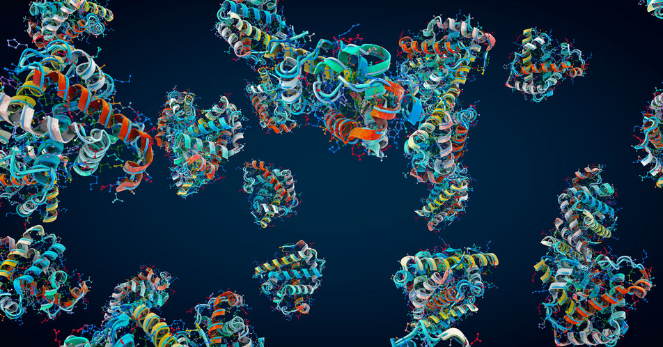 Chemie-Nobelpreis 2024: Pharmaunternehmen nutzen Vorhersage und Design von Proteinen für neue Medikamente