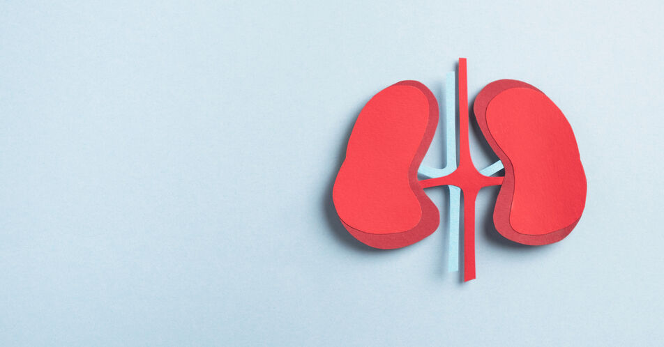 Nephrologie in Aufbruchsstimmung: Eine neue Dekade hat begonnen