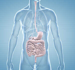 Risankizumab bei Colitis ulcerosa – vielversprechende Ergebnisse bei klinischer Remission und Mukosaheilung