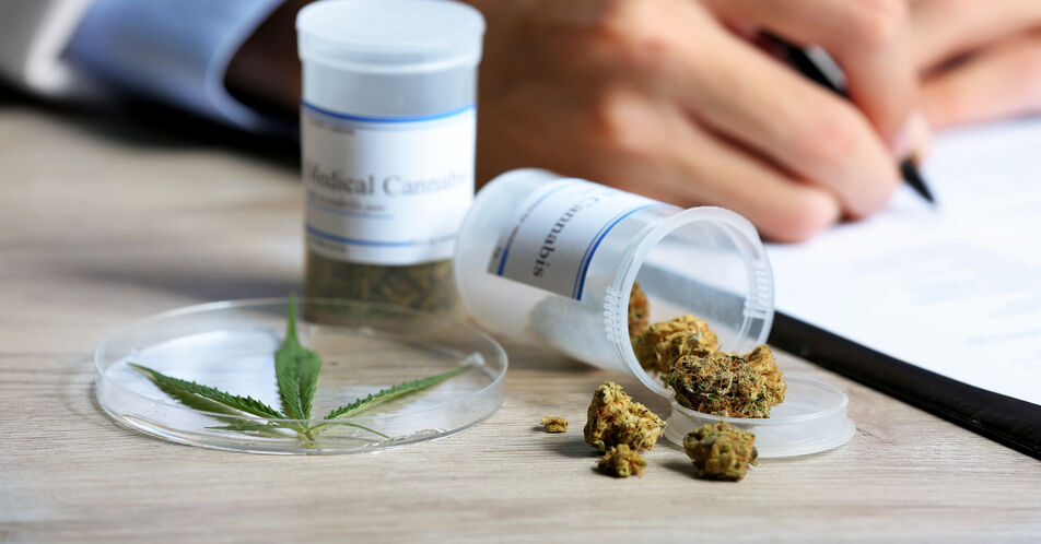 Medizinalcannabis bei starken chronischen Schmerzen – individuelle Ergänzung zur Standardtherapie