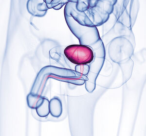 Systemische Therapie des metastasierten Urothelkarzinoms: Aktuelle Standards und Ausblick