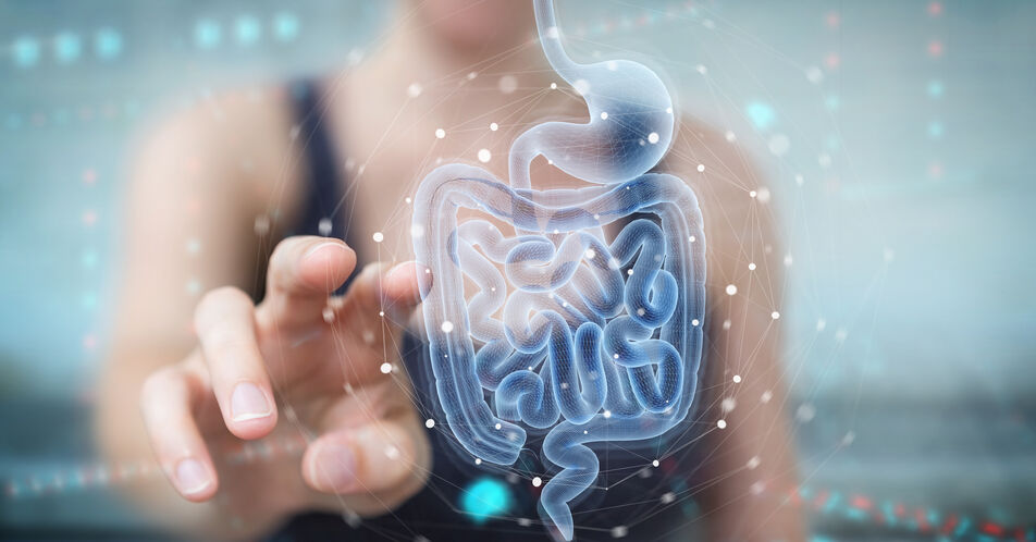 Leaky Gut - der undichte Darm: Ursachen, Diagnose und Therapie