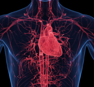 Tirzepatid reduziert das Risiko für Herzinsuffizienzkomplikationen bei Menschen mit Adipositas und HFpEF