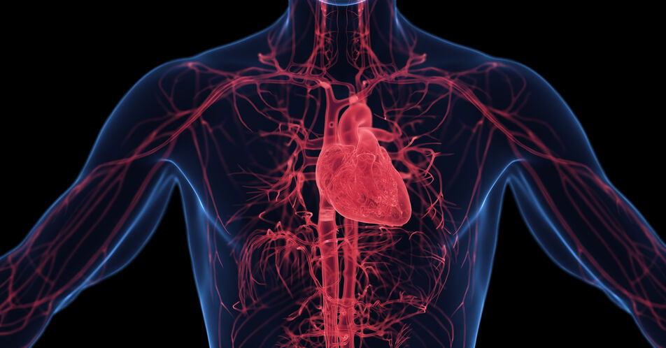 Tirzepatid reduziert das Risiko für Herzinsuffizienzkomplikationen bei Menschen mit Adipositas und HFpEF