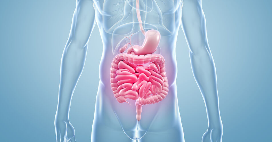 Neue Perspektiven bei Colitis ulcerosa: Small Molecules im Fokus