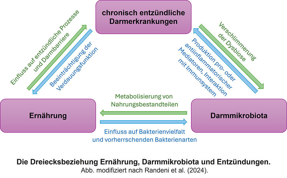 Die Dreiecksbeziehung Ernährung, Darmmikrobiota und Entzündungen 